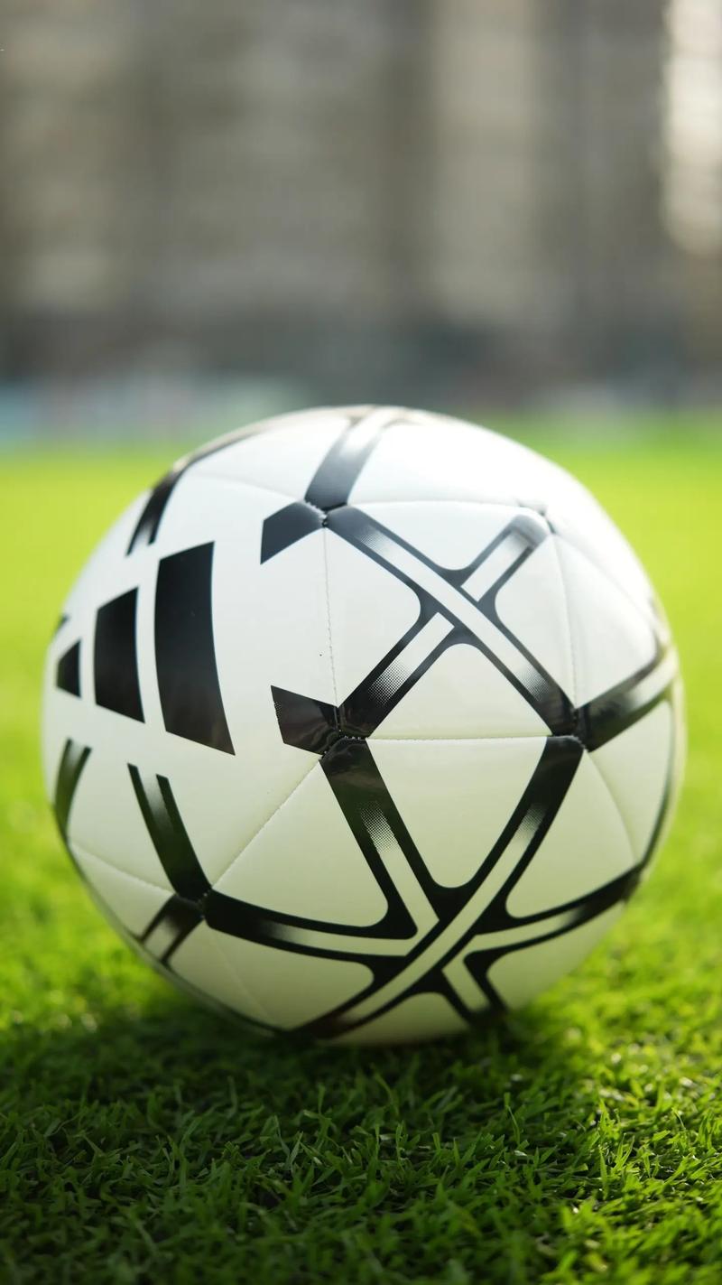 天天盈球老版本下载应用界面展示