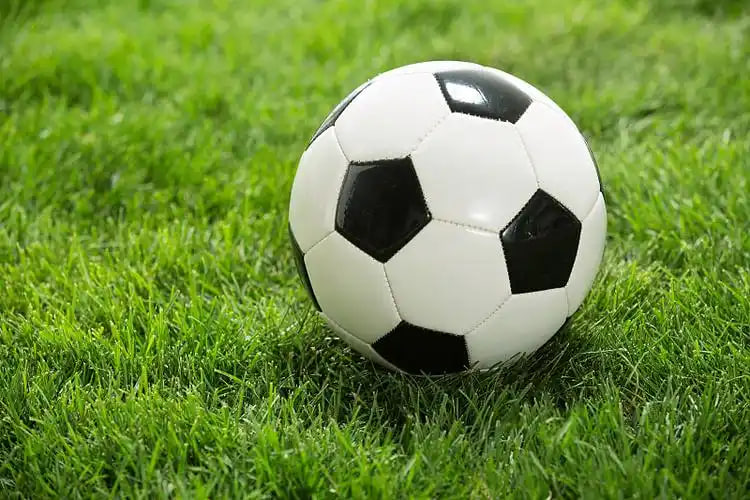 教育培训使用场景